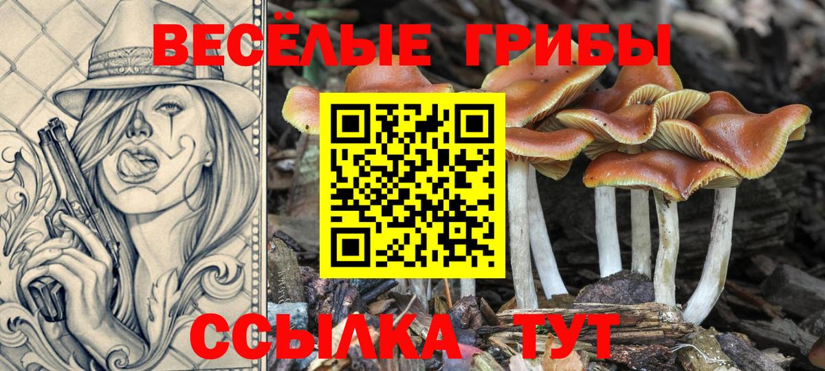 Галлюциногенные грибы мицелий Чистополь
